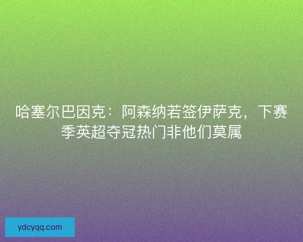 哈塞尔巴因克：阿森纳若签伊萨克，下赛季英超夺冠热门非他们莫属